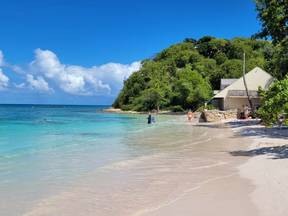 Long Bay, loc de snorkeling