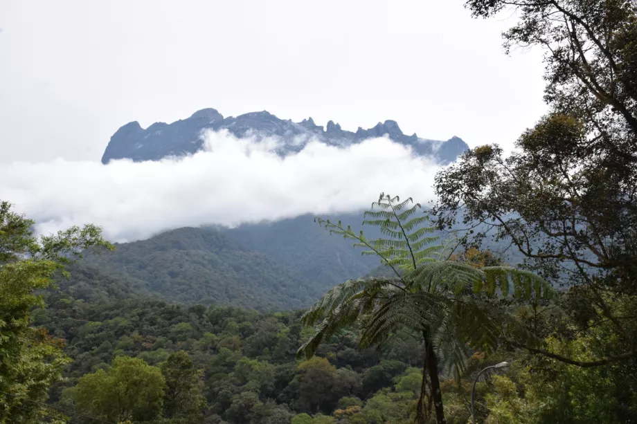 Muntele Kinabalu, Sabah, Borneo