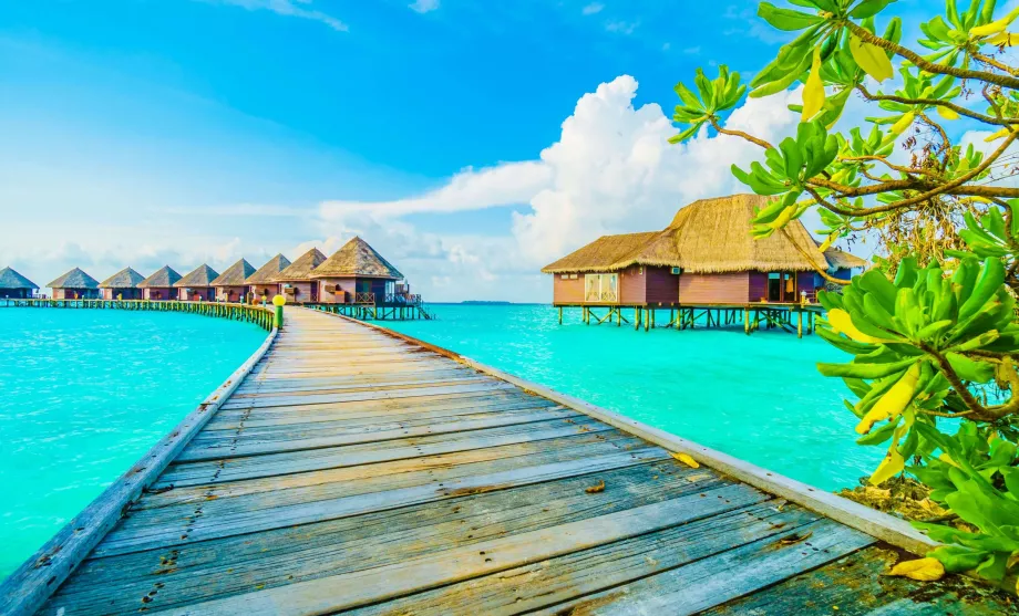 Maldive