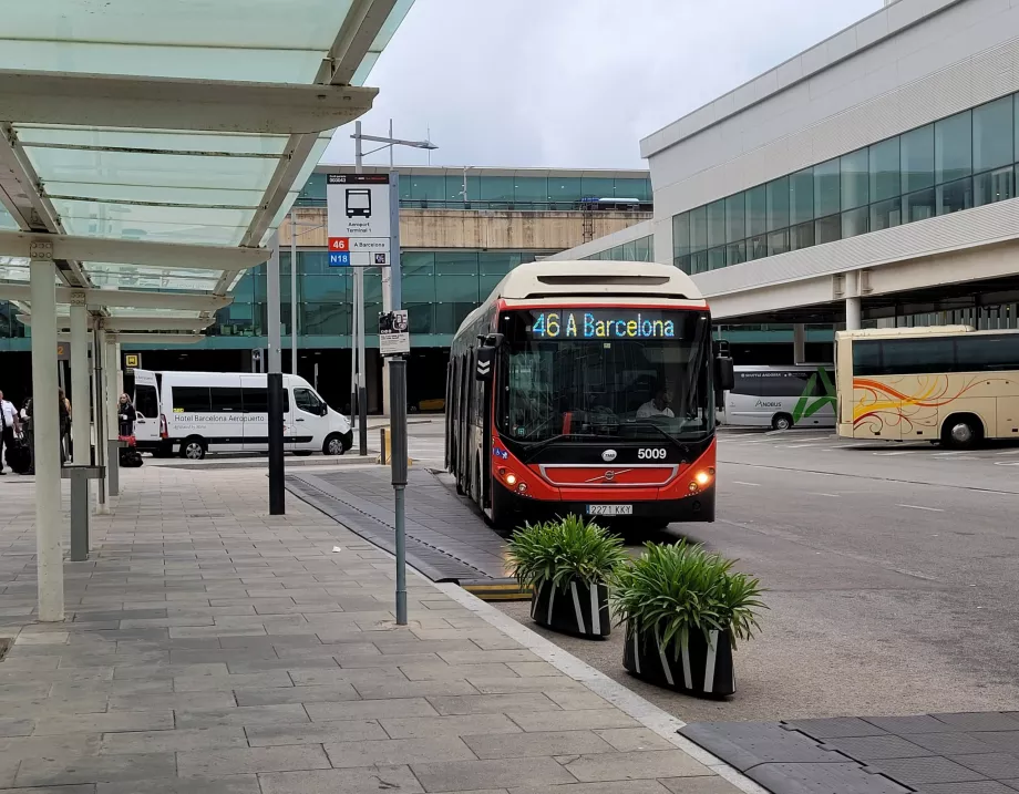 Stația de autobuz 46 la Terminalul 1