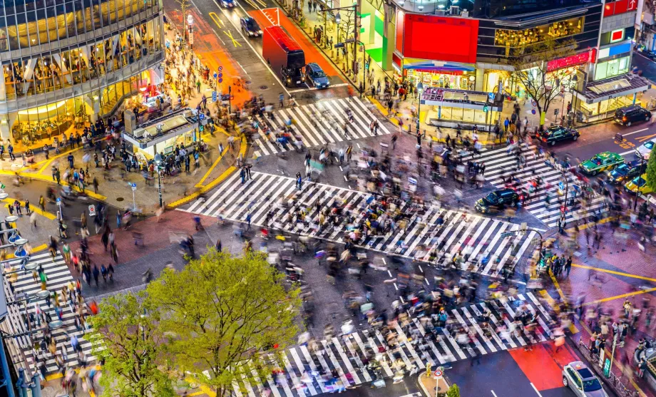 Răscruce de drumuri în Tokyo