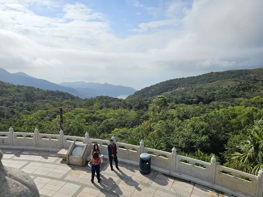 Vedere a pădurilor de pe insula Lantau