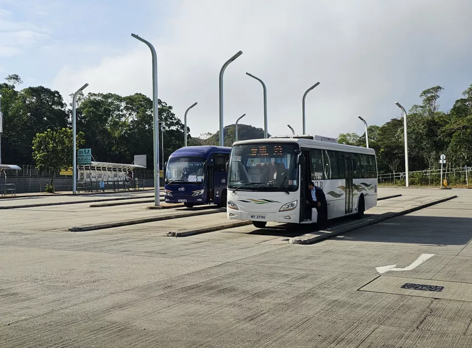 Autobuze către Ngong Ping