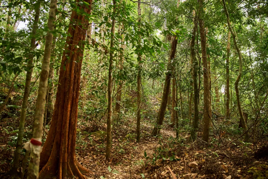 Parc național, Phu Quoc, Vietnam