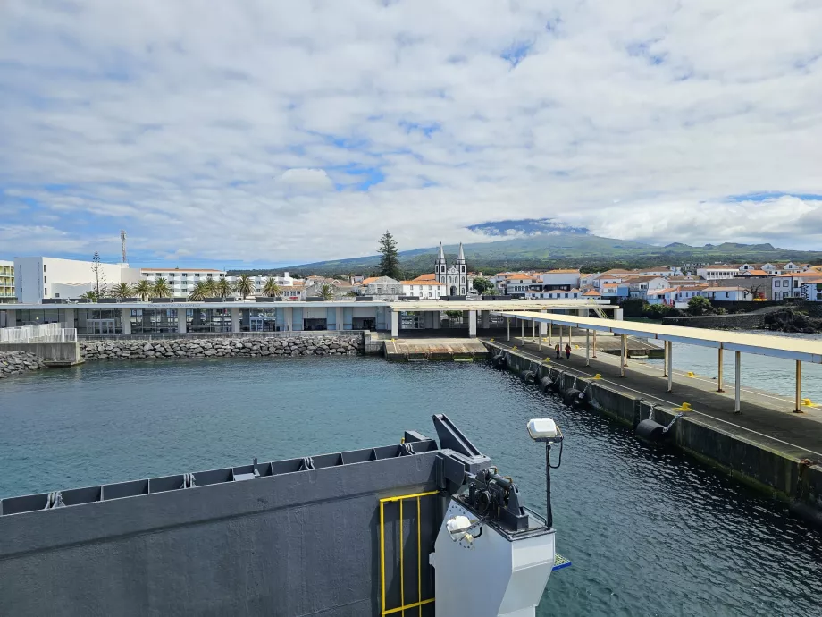 Portul Madalena, sosire din Insula Faial