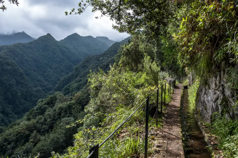 De la Levada la Rei