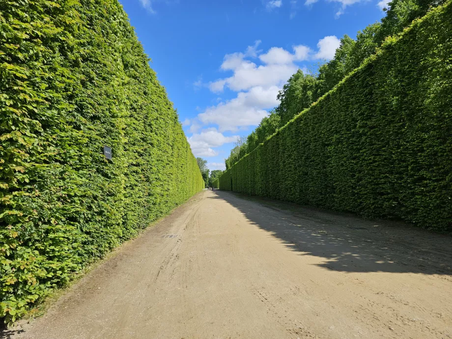 Grădinile de la Versailles