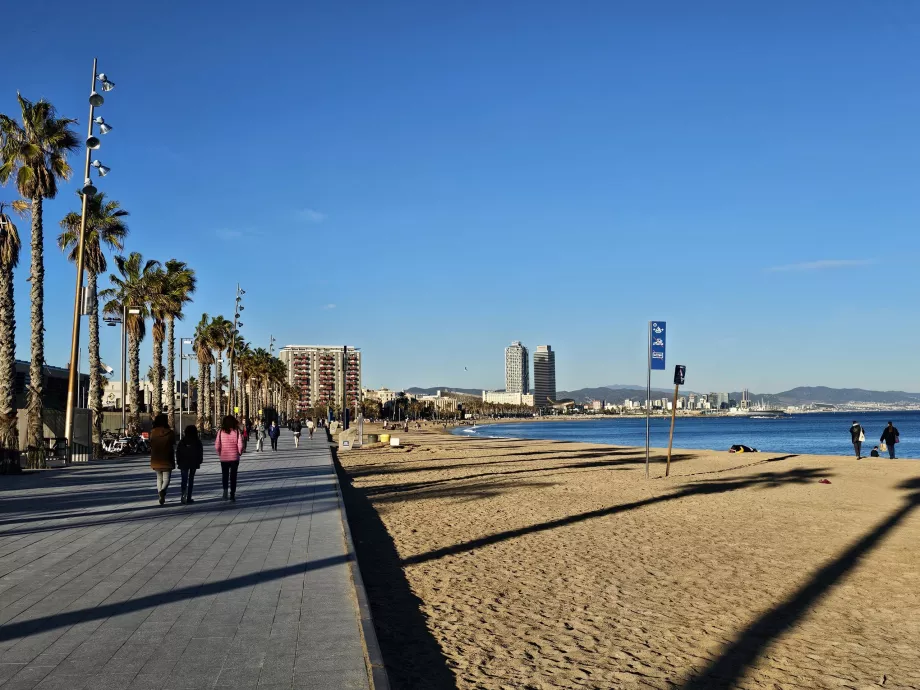 Plaja Barceloneta