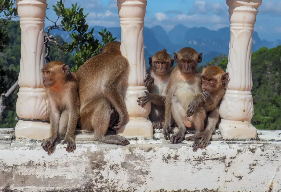 Templul Peștera Tigrului, Krabi, Thailanda