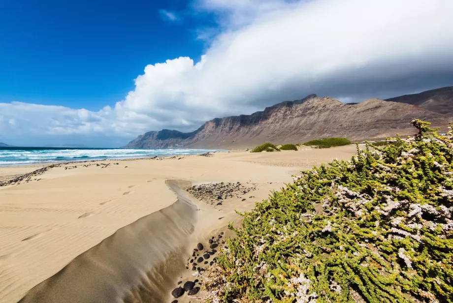 Plaja Famara