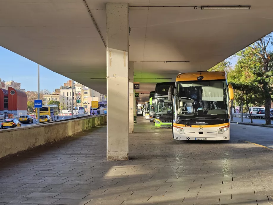 Stația de autobuz Barcelona Sants