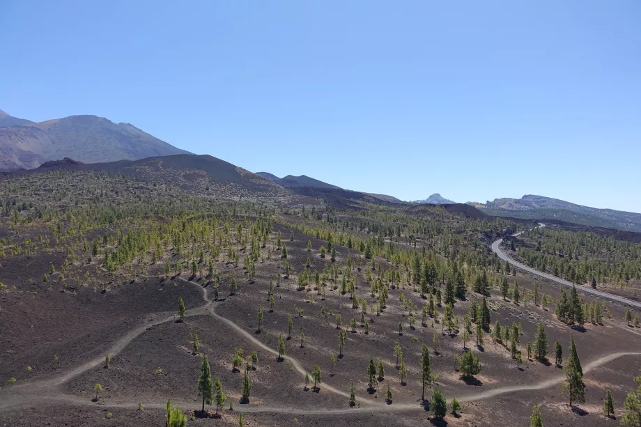 Peisajul PN Teide