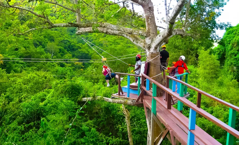 Turul Antigua Canopy