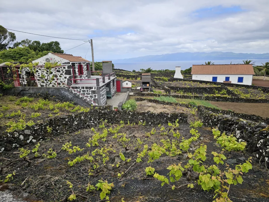 Podgoriile Lava, Ribeirinha