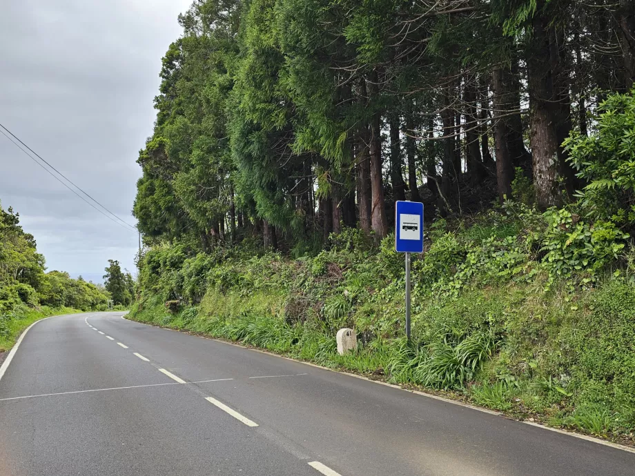 Stație de autobuz, Pico Island