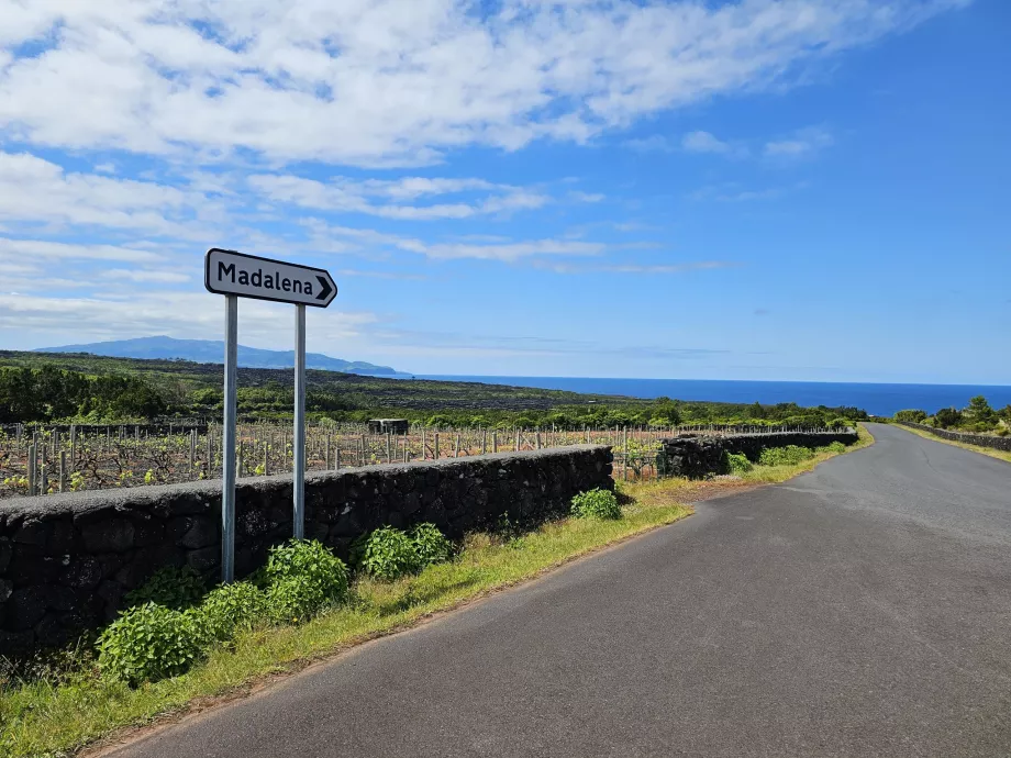 Semne de circulație, Pico island