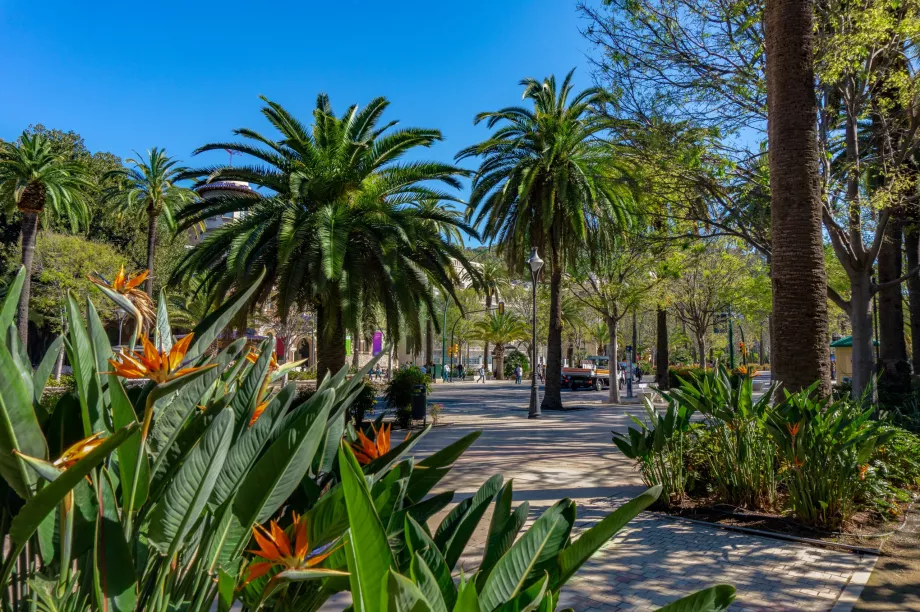 Parcul Malaga