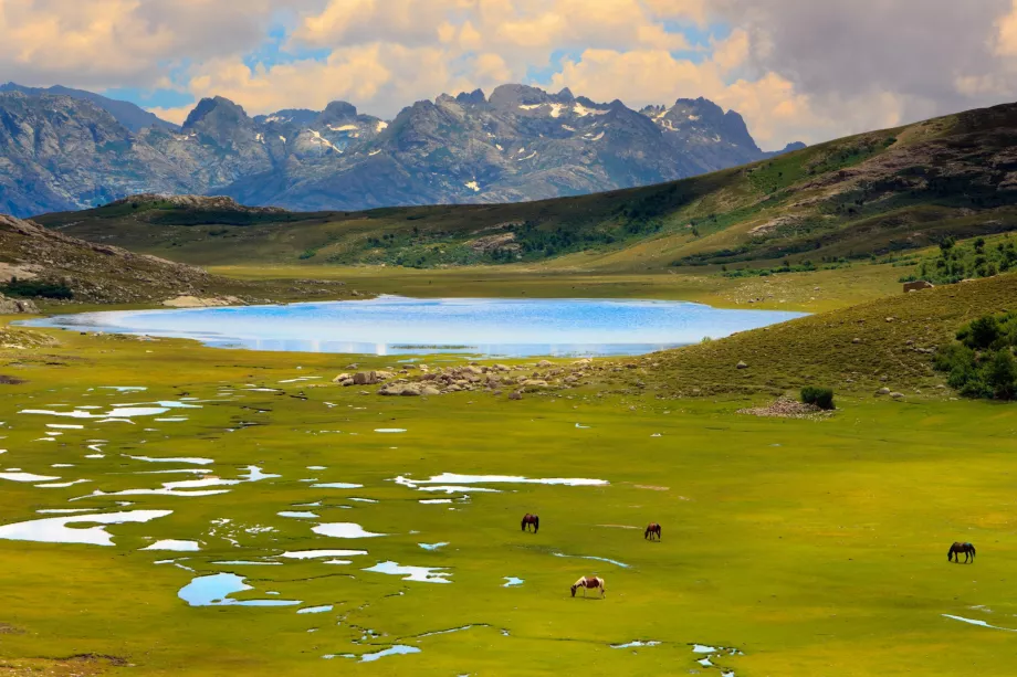 Lacul de Nino