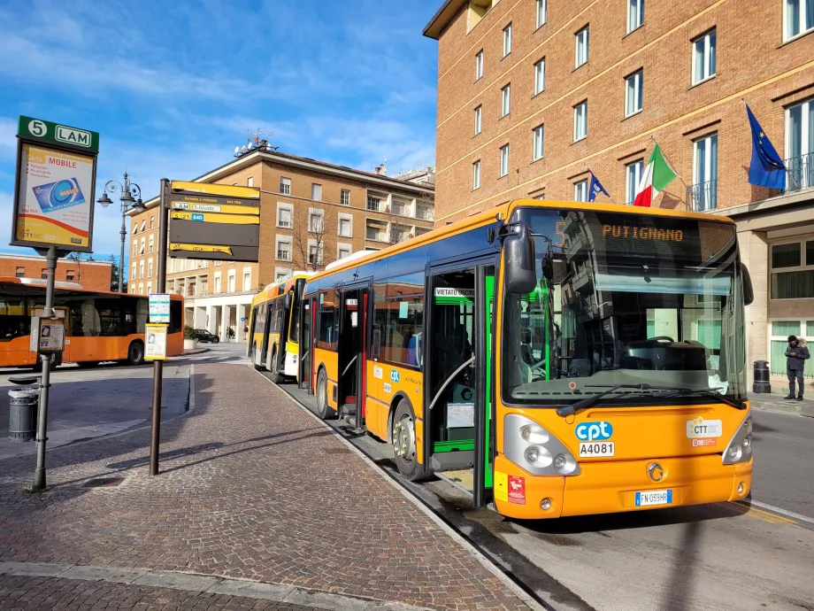 Autobuze Pisa