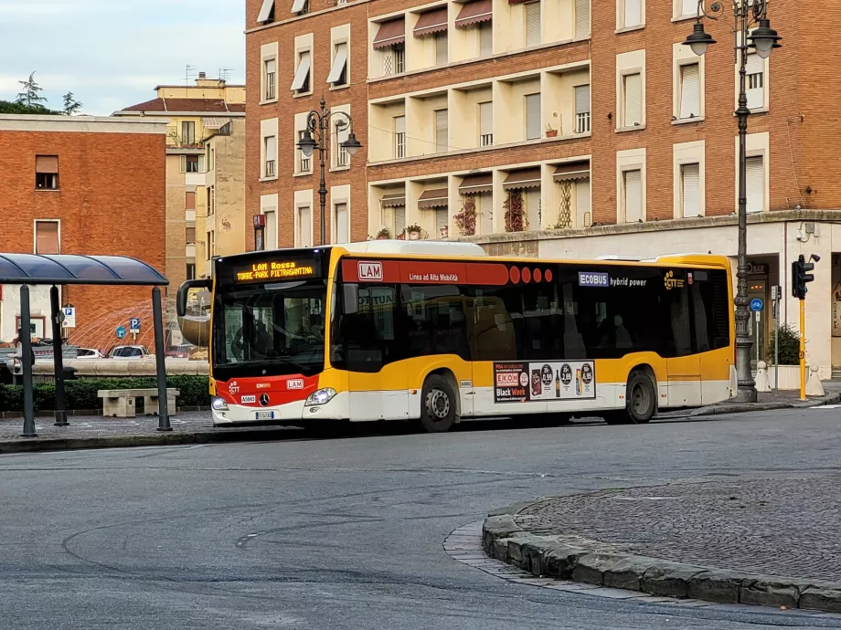 Linii de autobuz LAM Rossa