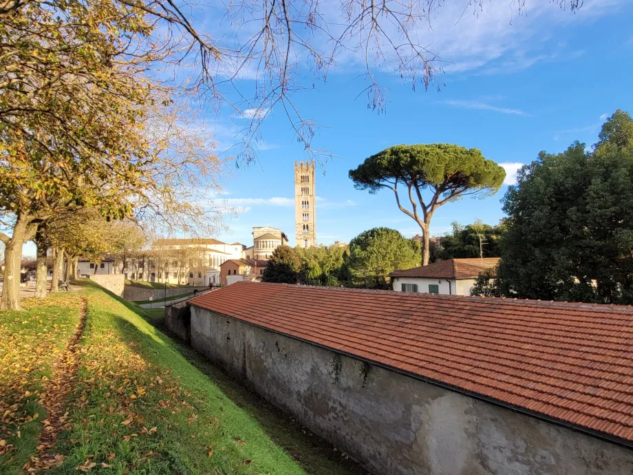 Vedere a Bisericii San Frediano de pe ziduri