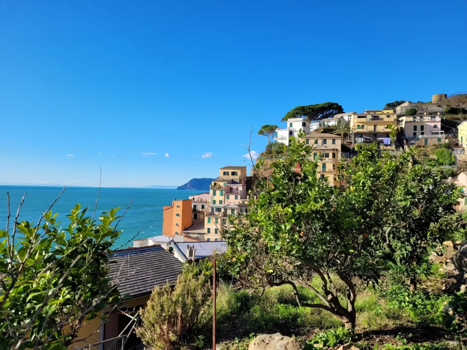 Portocali în Riomaggiore