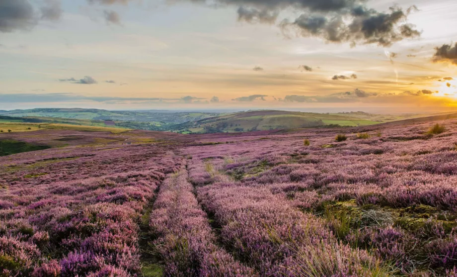 NP Peak District