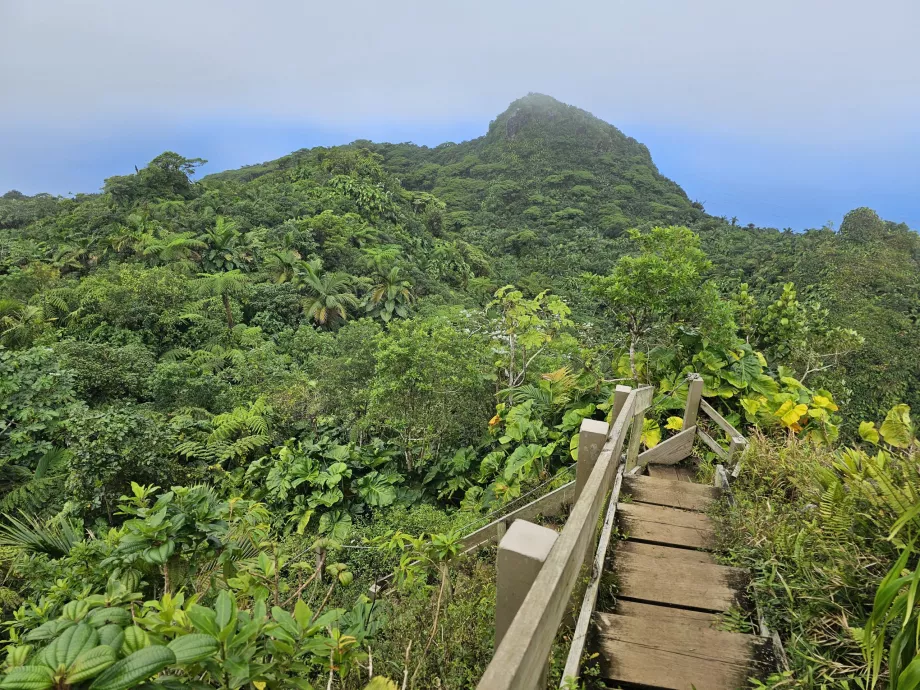 Traseul Mount Scenery