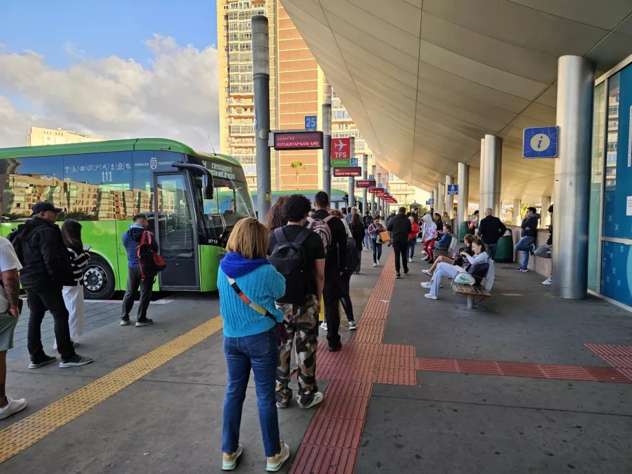 Coadă de autobuz până la aeroportul TFS