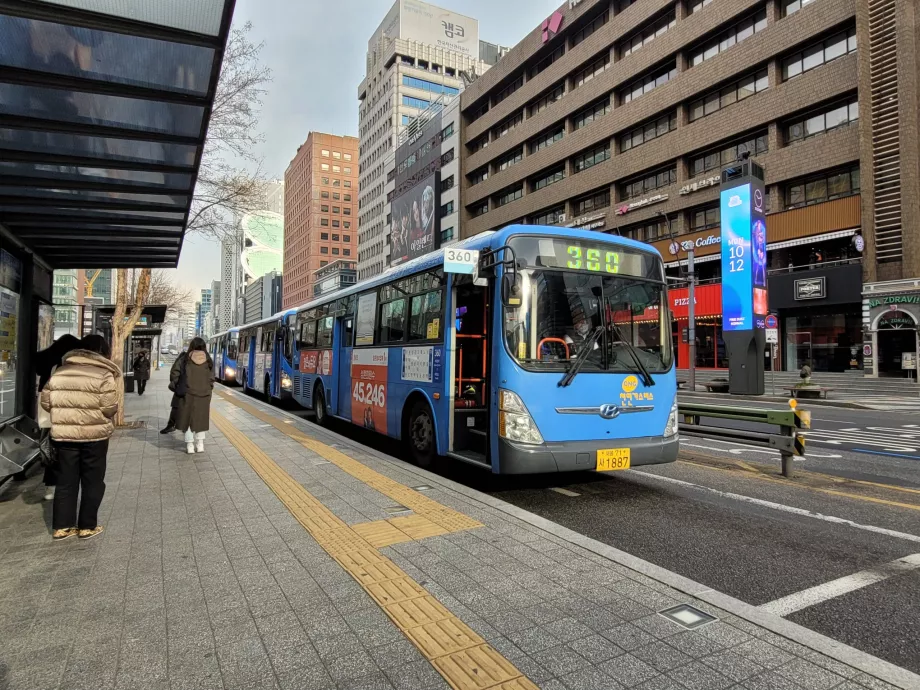 Blue Bus, Seul