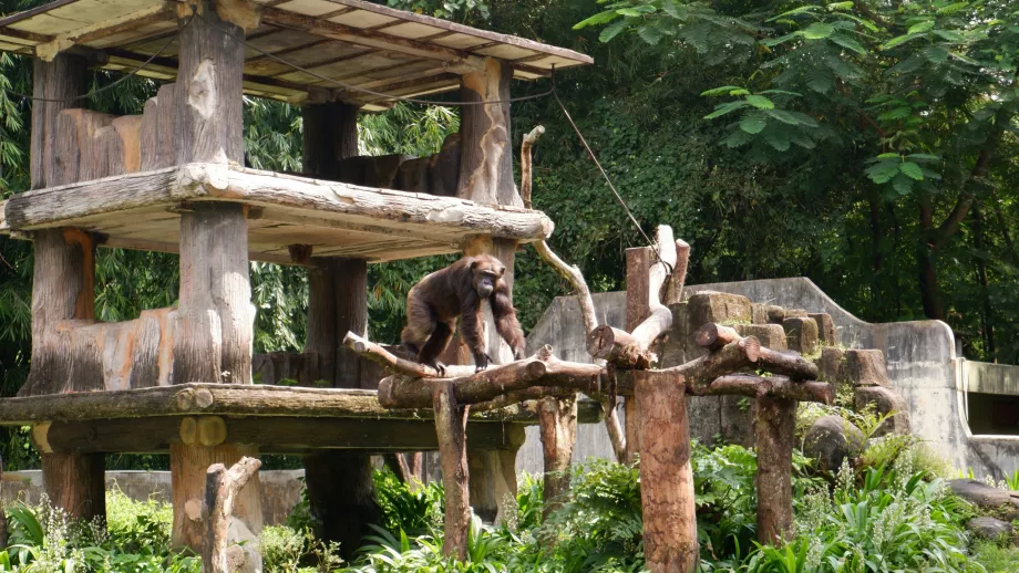 Grădina zoologică Gembira Loka