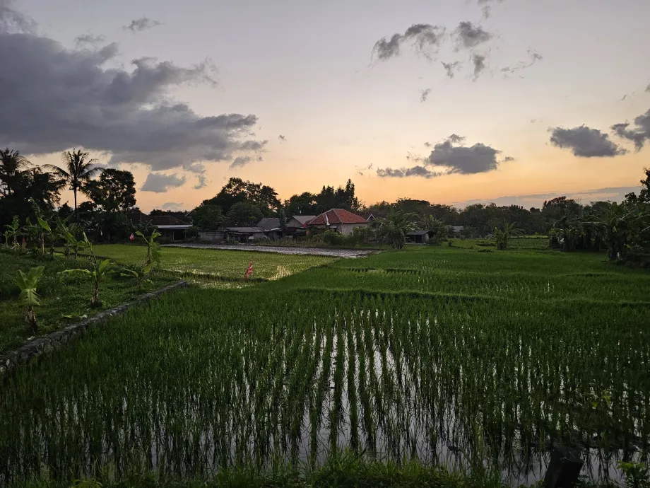 Drumul spre Ratu Boko