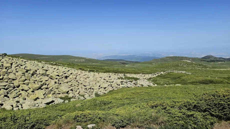 Vederi în Munții Vitosha