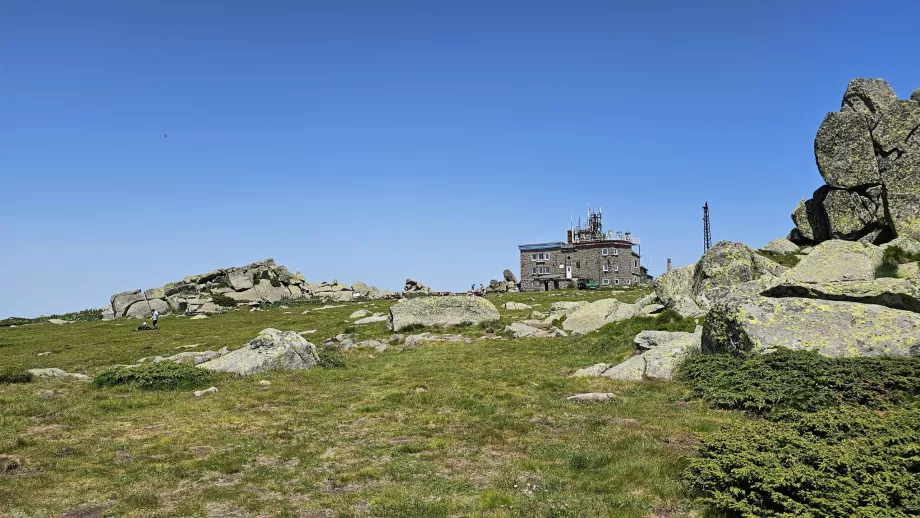 Cel mai înalt punct din Munții Vitosha