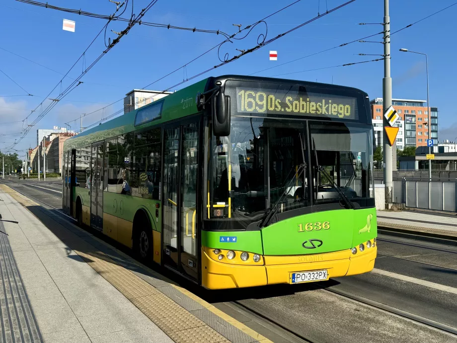 Autobuze în Poznan