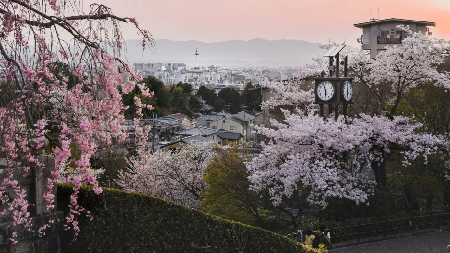 Primăvara Kyoto