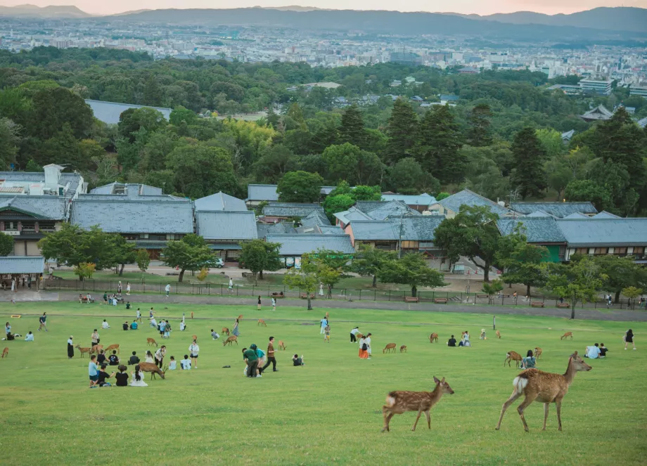 Vedere din parcul Nara