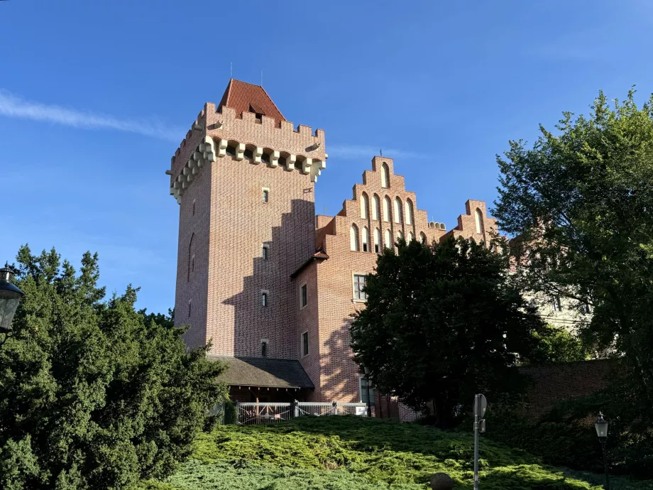 Castelul regal