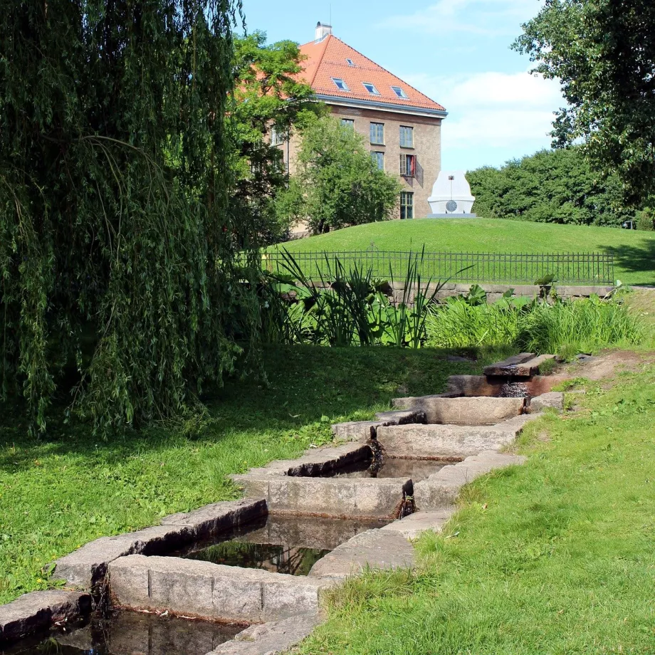 Grădina botanică